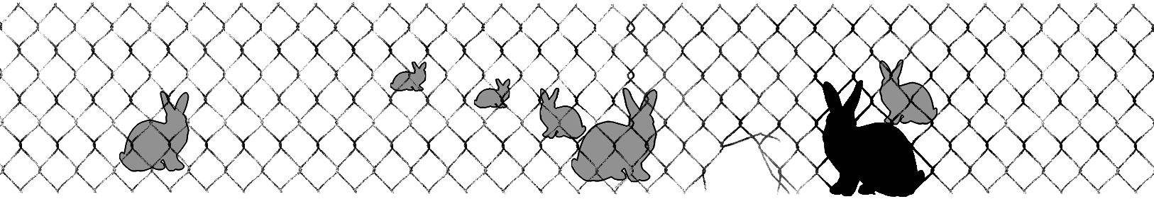 rabbitprooffence_web_06.gif
