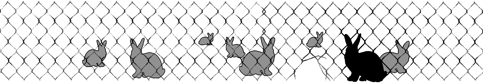 rabbitprooffence_web_07.gif