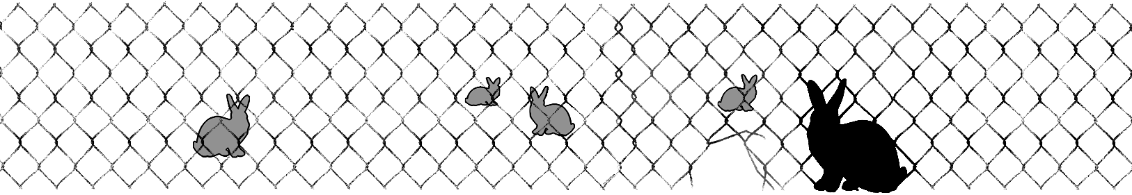 rabbitprooffence_web_11.gif