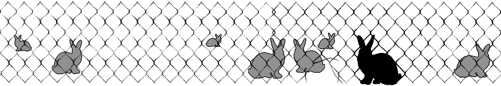 tplimg:blackrabbit:rabbitprooffence_web_16.gif